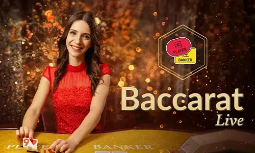 Live Casino Guide